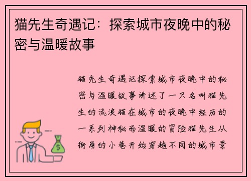 猫先生奇遇记：探索城市夜晚中的秘密与温暖故事